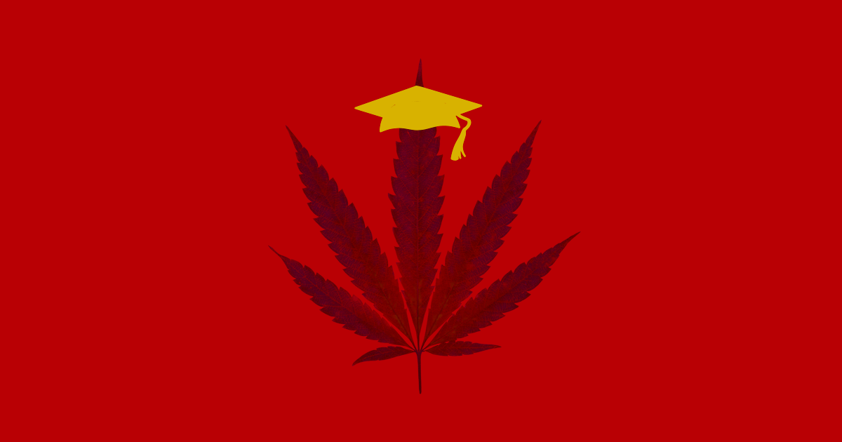 Students at colleges across the U.S. can now study marijuana, a sign that universities have taken notice of the booming cannabis industry.