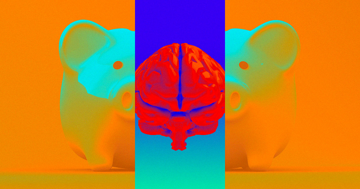 A team from Yale created a system that let them breathe new life into pig brains that had been removed from the animals' skulls.