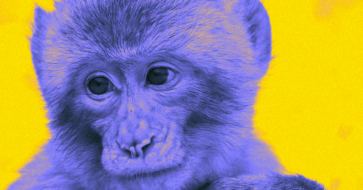 One of the scientists behind an experiment that gave monkeys human DNA, thereby making them smarter, has defended the controversial study to CNN.