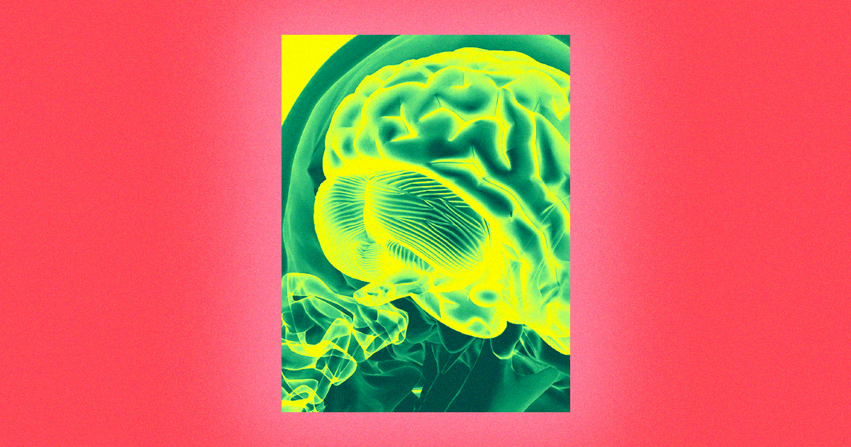 Researchers have implanted transparent skulls into mice to get an unimpeded look at their brain activity on a wider scale over a longer period.