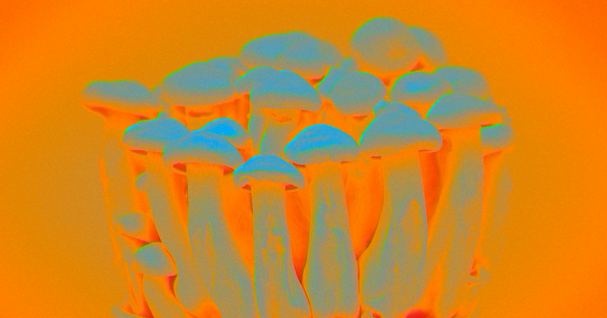 A UK college has launched the Imperial Centre for Psychedelic Research — the world's first formal center for research into psychedelics.
