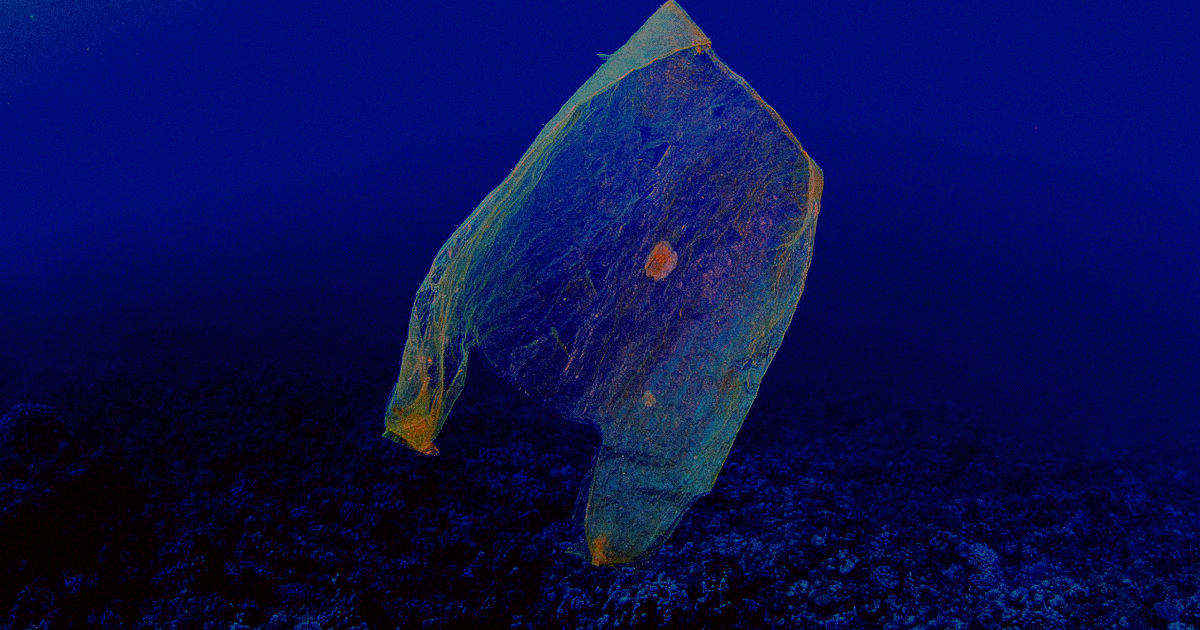 When Victor Vescovo broke the record for deepest ocean dive, he noticed what he believes was a plastic bag and some candy wrappers in the deep sea.