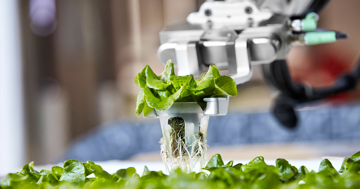 Produce grown by startup Iron Ox's robot farm is now available for purchase, a futuristic example of how technology is transforming agriculture.