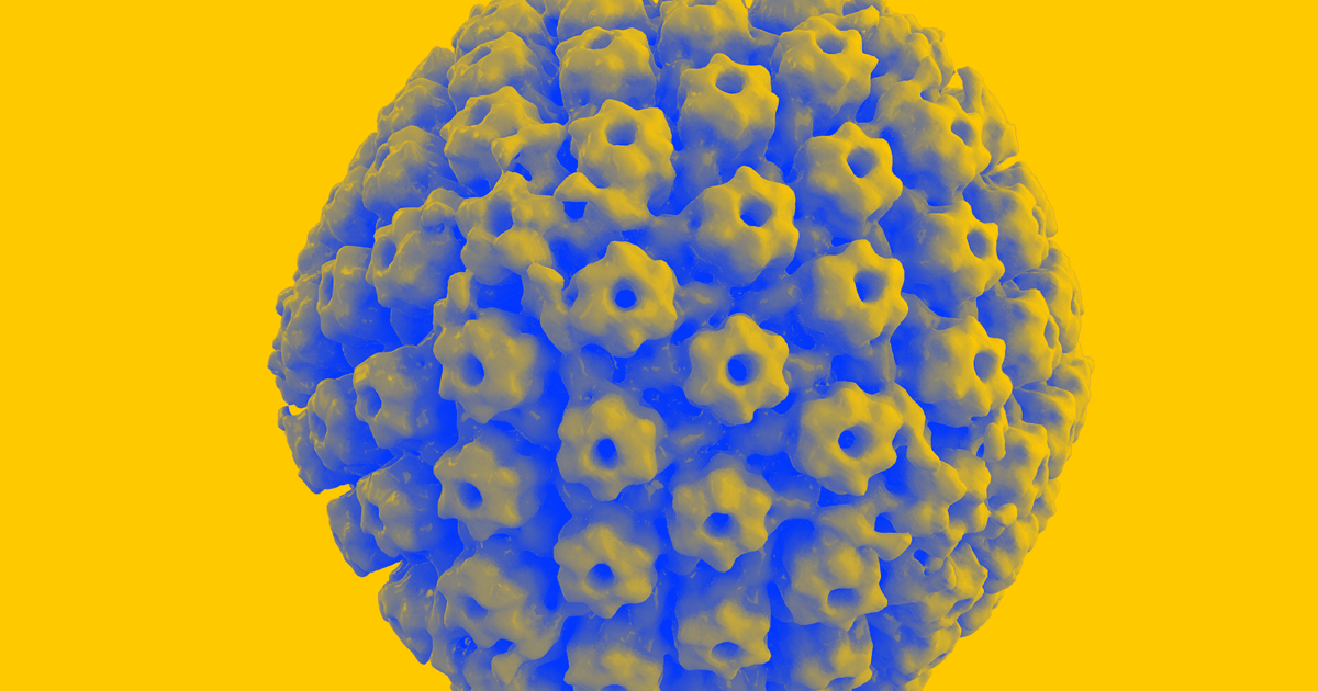 As they travel in the body, viruses like herpes can soak up proteins that they use to produce the amyloid plaques linked to Alzheimer's symptoms.