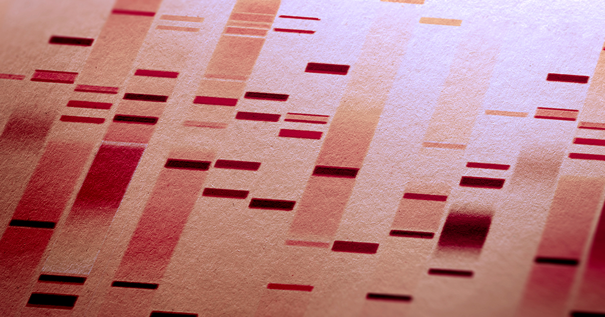 The Department of Homeland Security is going to start DNA testing people who cross into the U.S. seeking asylum next week.