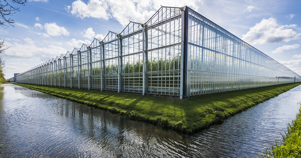 Hungary is planning on building a fully carbon-neutral town from the ground up in the northwest of the country to boost fruit and vegetable production.