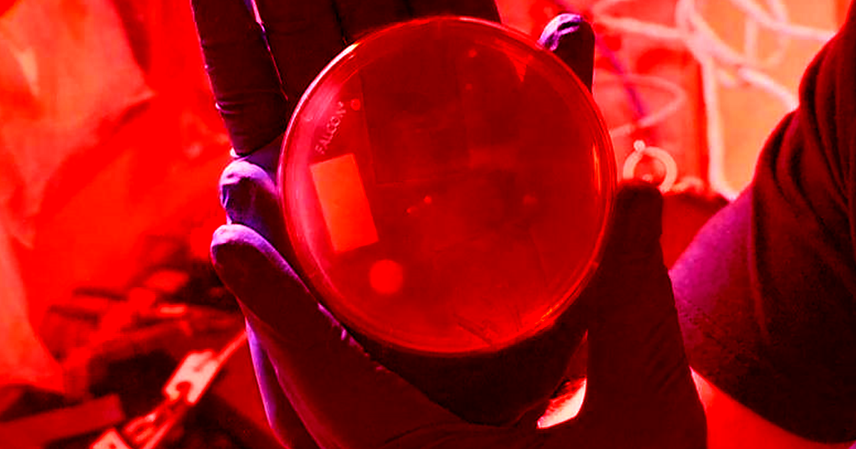 Astronauts aboard the ISS used CRISPR in space for the first time, making edits in yeast's genome to mimic radiation-caused damage.