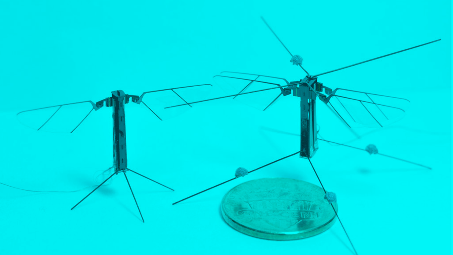 A team of engineers built a four-winged flying robot called Bee+ that weighs just 95 grams with a footprint smaller than a penny.