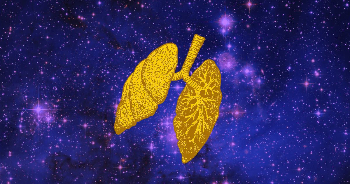 Four tissue chips designed to mimic various process in the human body are headed to the International Space Station to help scientists study disease.