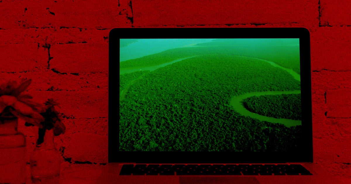 Amazon just won exclusive rights to the ".amazon" internet domain after a seven-year-long dispute wiith eight South American governments.