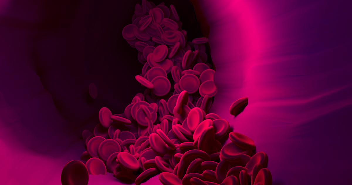 Enzymes found in the human gut can efficiently transform blood type A into O, the universal donor kind that is in high demand.
