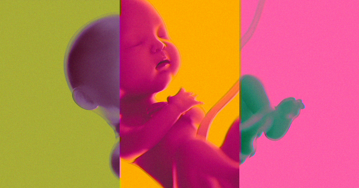 Chinese state-run news agency Xinhua has confirmed that a third gene-edited baby has been born as part of researcher He Jiankui's controversial experiment.