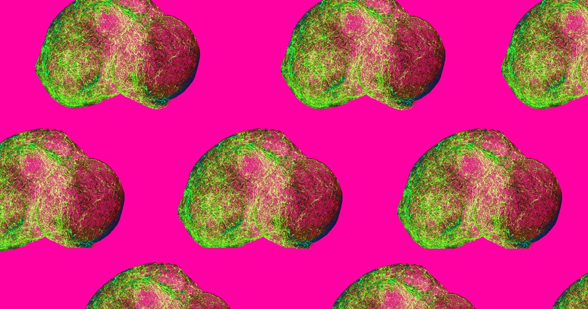 New lab-grown mini brains are the most advanced yet, spontaneously forming into neural circuits resembling the cerebral cortex and mirroring brain activity.