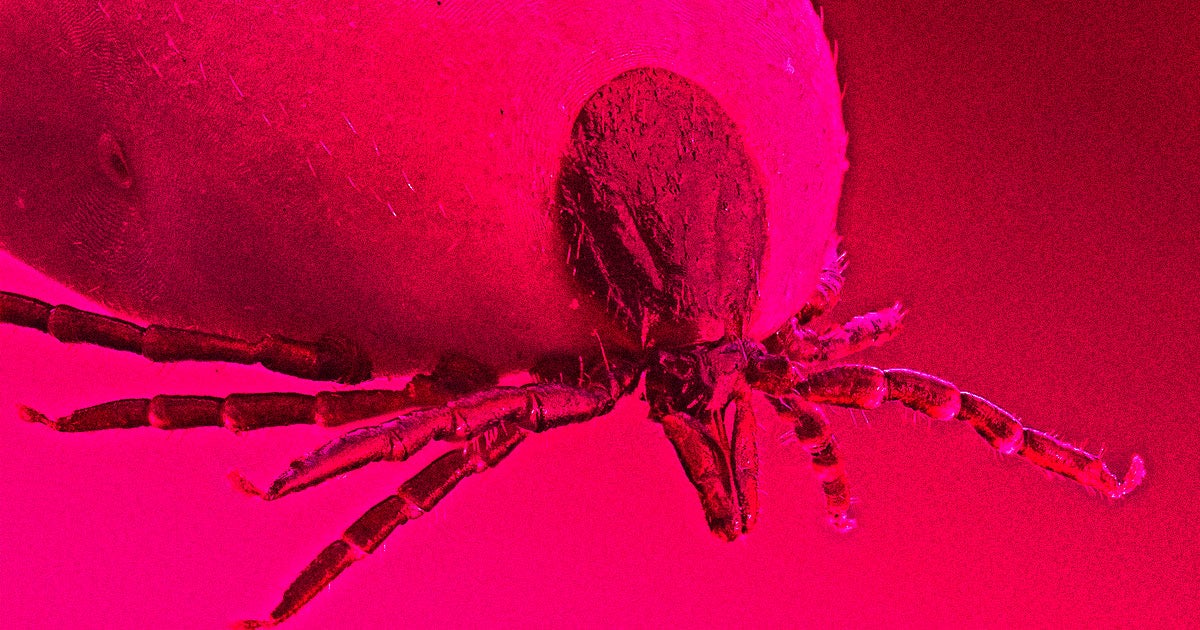Congress wants to know if the US miltary experimented with creating bioweapons out of ticks and other insects — and then released them into the wild.