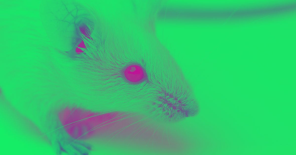 A new therapy targeting the Cngb1 gene restored eyesight and regular neural connections between the eye and brain of experimental mice.