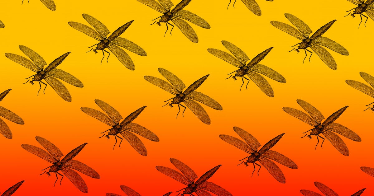 Google has reportedly decided to halt plans for launching a censored search engine in China."We have terminated Project Dragonfly."