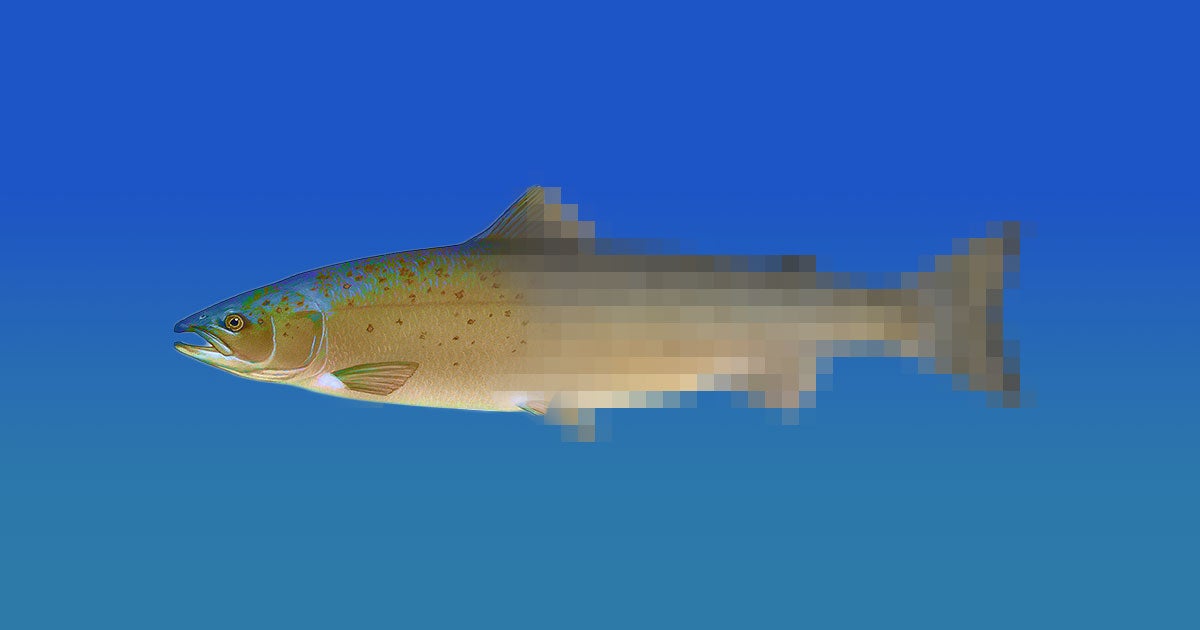 Impossible Foods, the fake meat company behind the plant-based Impossible Burger, is now working on a recipe for plant-based fish meat.