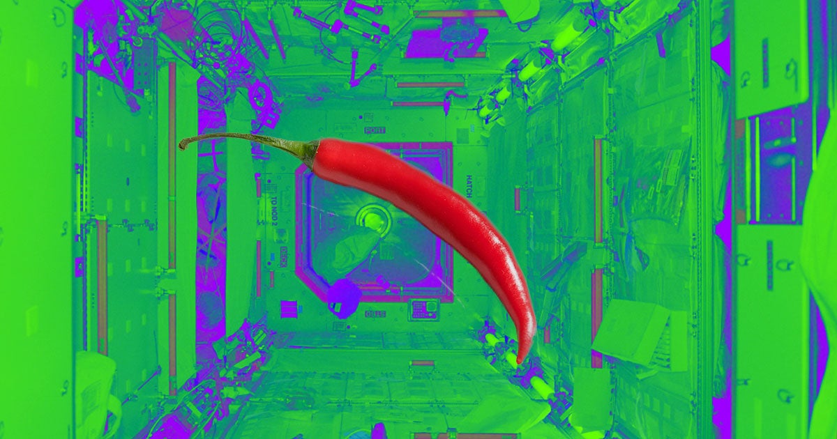 NASA has announced the first fruit to be grown in space before the end of this year: the humble Espanola chile pepper (capsicum annuum).