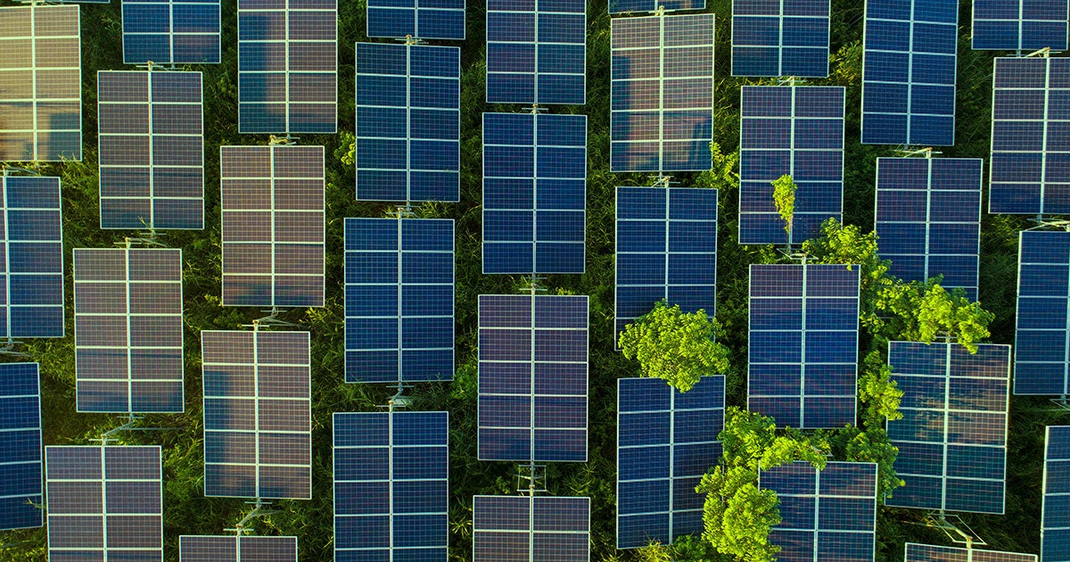 Researchers have created a two-in-one device that purifies salty or contaminated water while simultaneously producing solar power.
