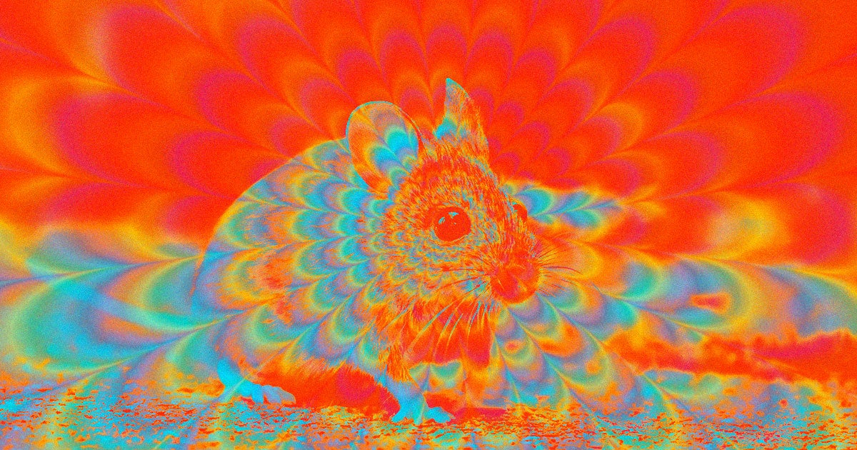 Scientists believe they were able to make mice hallucinate by stimulating just 20 of their brain neurons, raising new questions about the human brain.