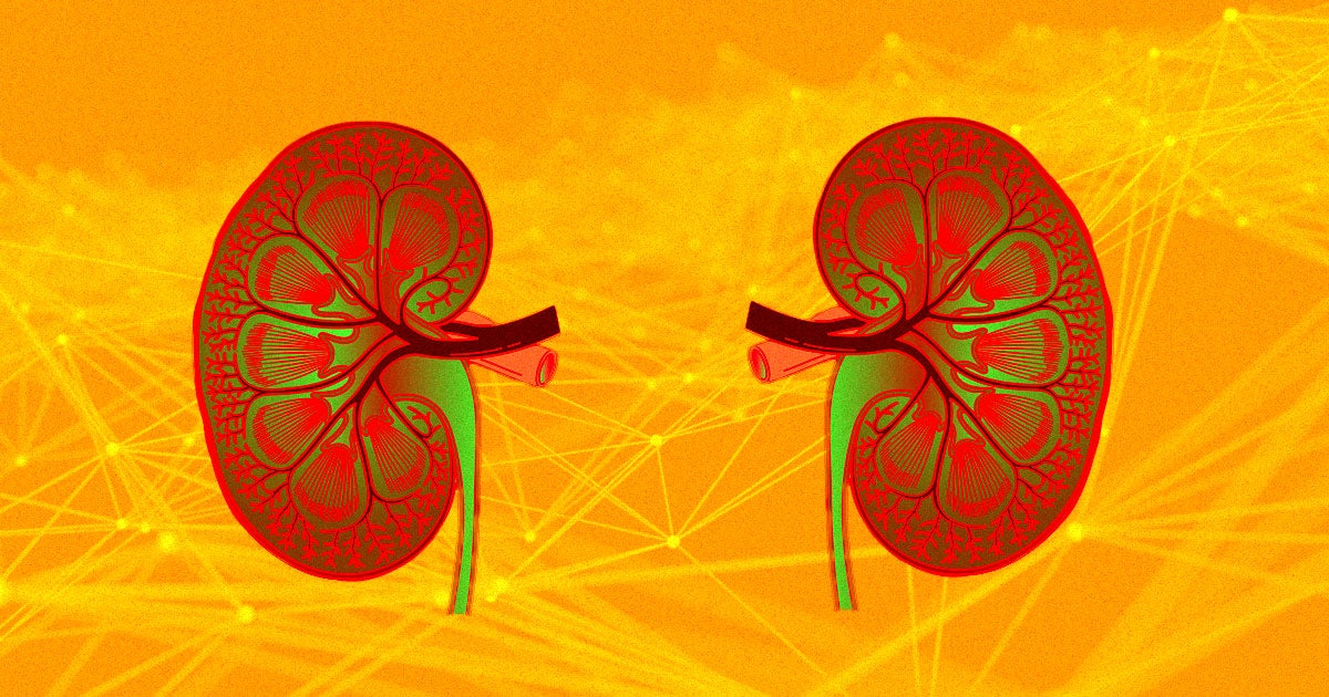 Researchers at DeepMind have found that their machine learning AI could alert medical health professionals of future kidney injury 48 hours early.