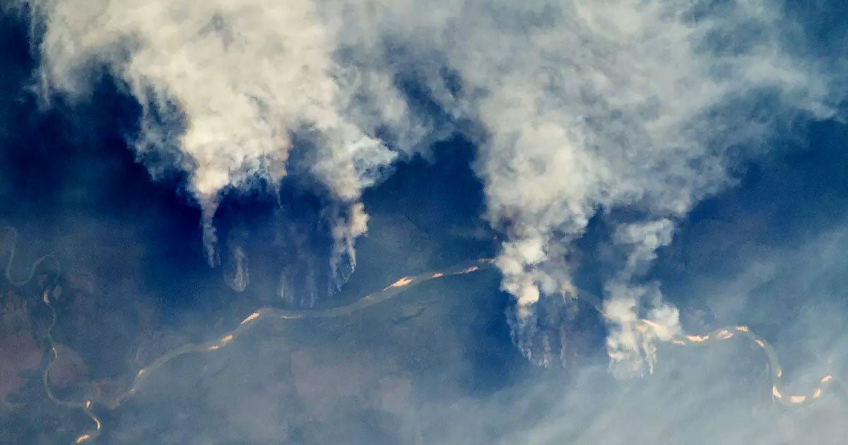 Bad news: record-breaking fires have been burning up Brazil's Amazon rainforest since January, an increase of over 83 percent since last year.