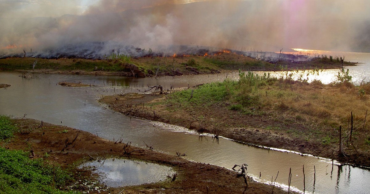 With the Amazon Rainforest burning away and sequestered carbon being released, the global environment is rapidly approaching the point of no return.