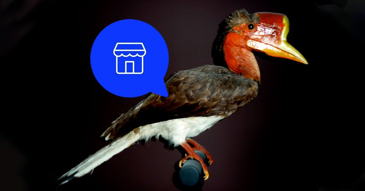 Over the past six months, hundreds of endangered species, especially the Helmeted Hornbill, have illegally gone up for sale on Facebook.