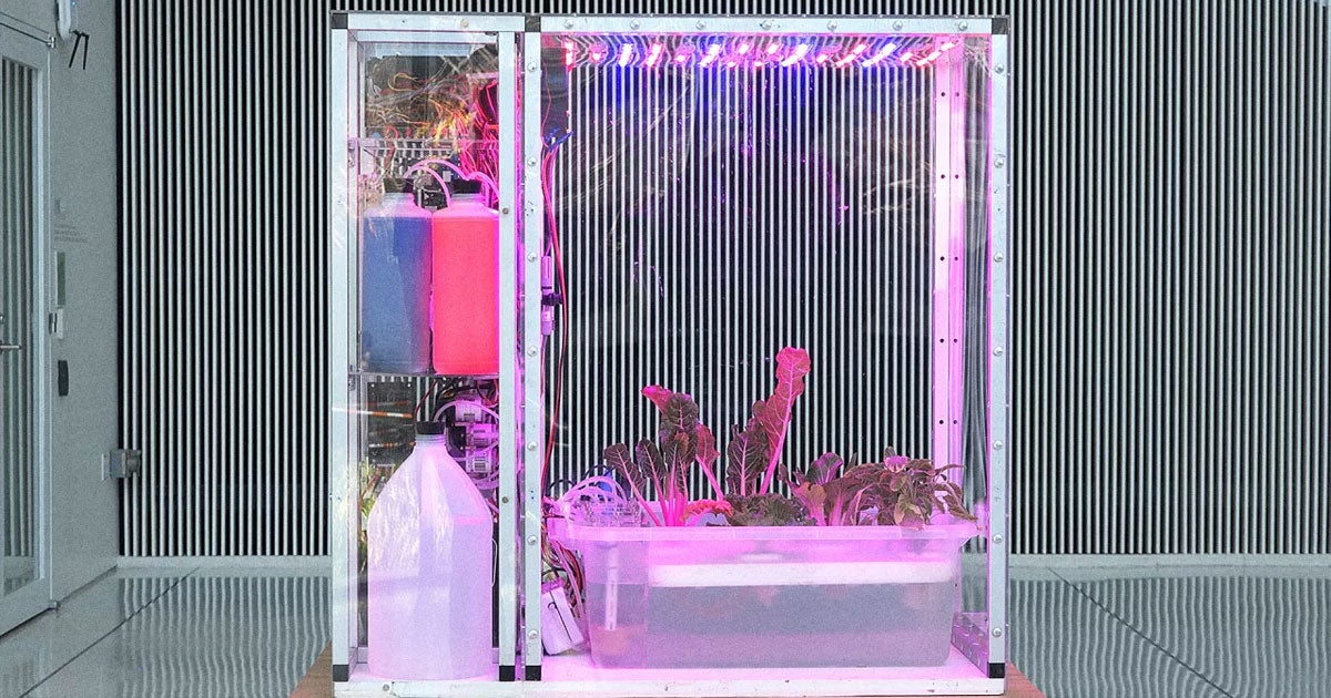 An MIT-funded robotic agriculture project that promised anybody the instant ability to successfully grow food is snake oil, according to Business Insider.