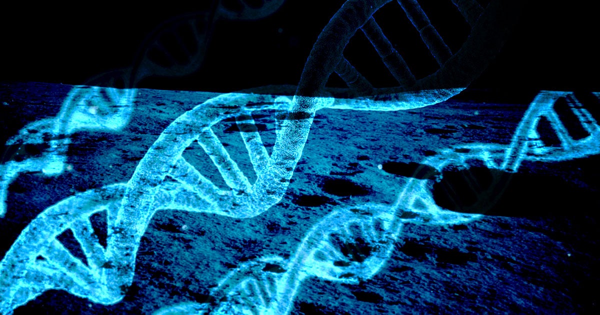LifeShip will send your DNA to the Moon for $99 — a whimsical undertaking that could also ensure humanity lives on even if Earth becomes uninhabitable. 