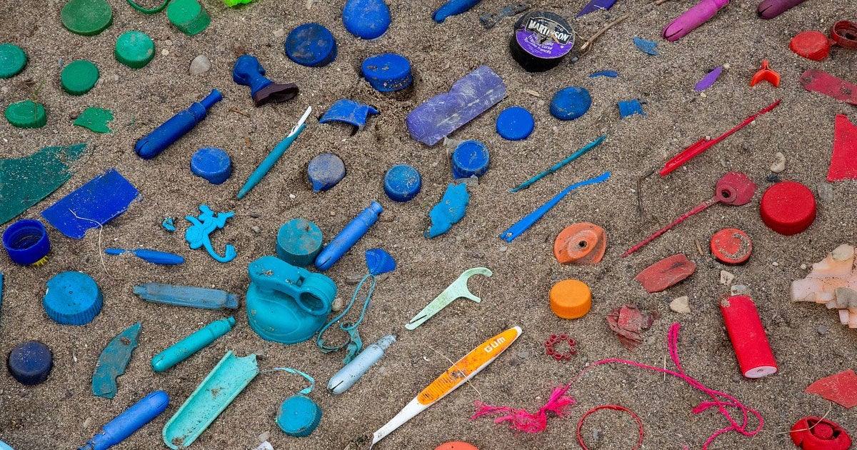 A new German study concluded that 97 percent of blood and urine samples from 2,500 chidlren between three and 17 showed toxic levels of plastic byproducts.