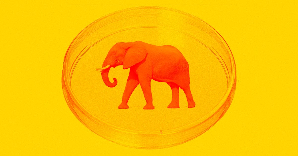 The companies developing lab-grown meat won’t stop at just beef and chicken — they’ll likely cultivate exotic meats, too.