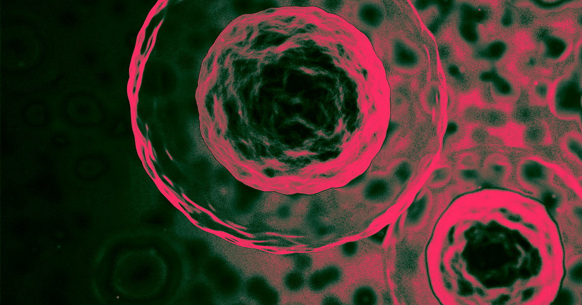 An international group of scientists is compiling a biological "atlas" of all the individual cells that make up the human body.