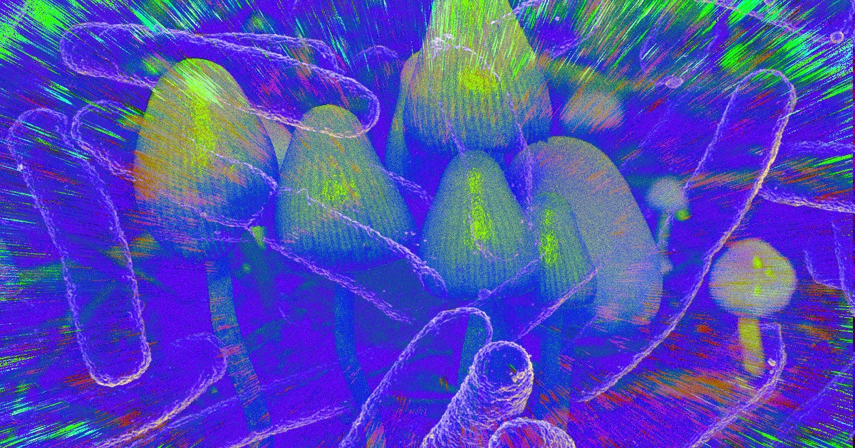 Researchers have found a way to coax the bacteria E. coli to produce psilocybin as a byproduct, potentially opening the door to mass production.