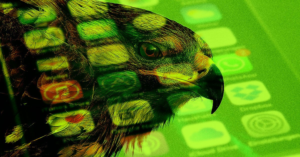 A tracked eagle spent five months in an area without data coverage, racking up enough roaming charges to wipe a research team's entire budget.