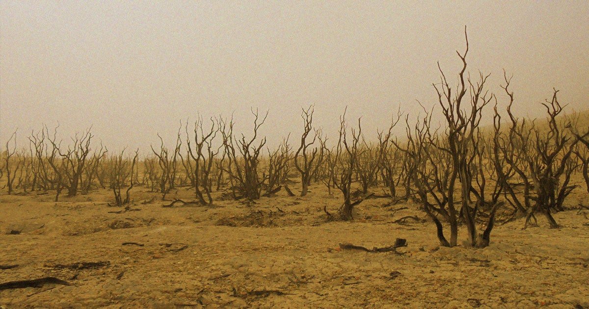 We could pause global warming for 15 to 20 years if we're willing to spend $300 billion to restore billions of acres of land, say UN scientists.