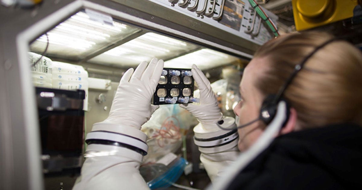 Researchers from the Stanford University School of Medicine found that stem cells-derived heart muscle cells adapted to microgravity really quickly.
