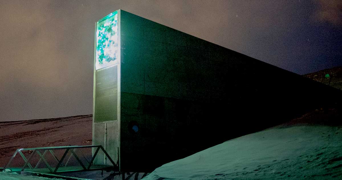 Microsoft-owned Github dumped physical copies of the world's open source code in an apocalypse-proof vault to save it for when society collapses.
