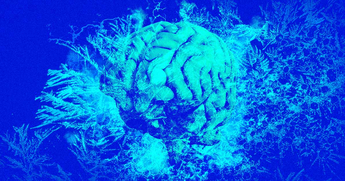 A team of scientists at the University of Maryland School of Medicine placed humans in "suspended animation" for the first time.