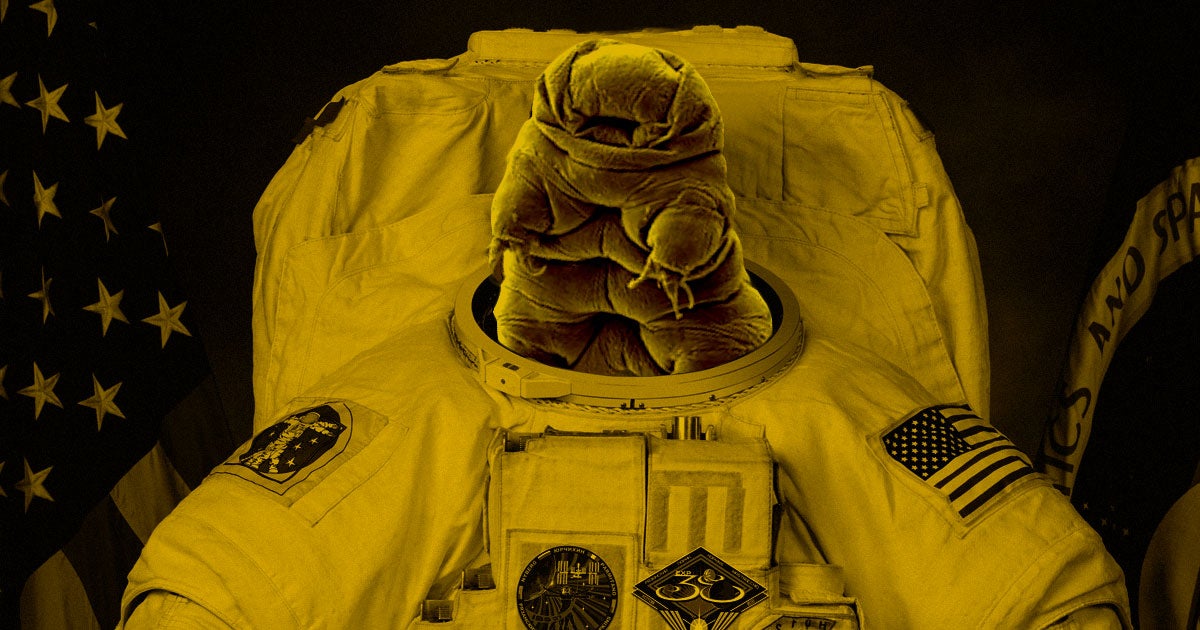 Geneticist Chris Mason has an unusual idea for helping future astronauts survive the trip to Mars: gene-hack them with tardigrade DNA that blocks radiation.