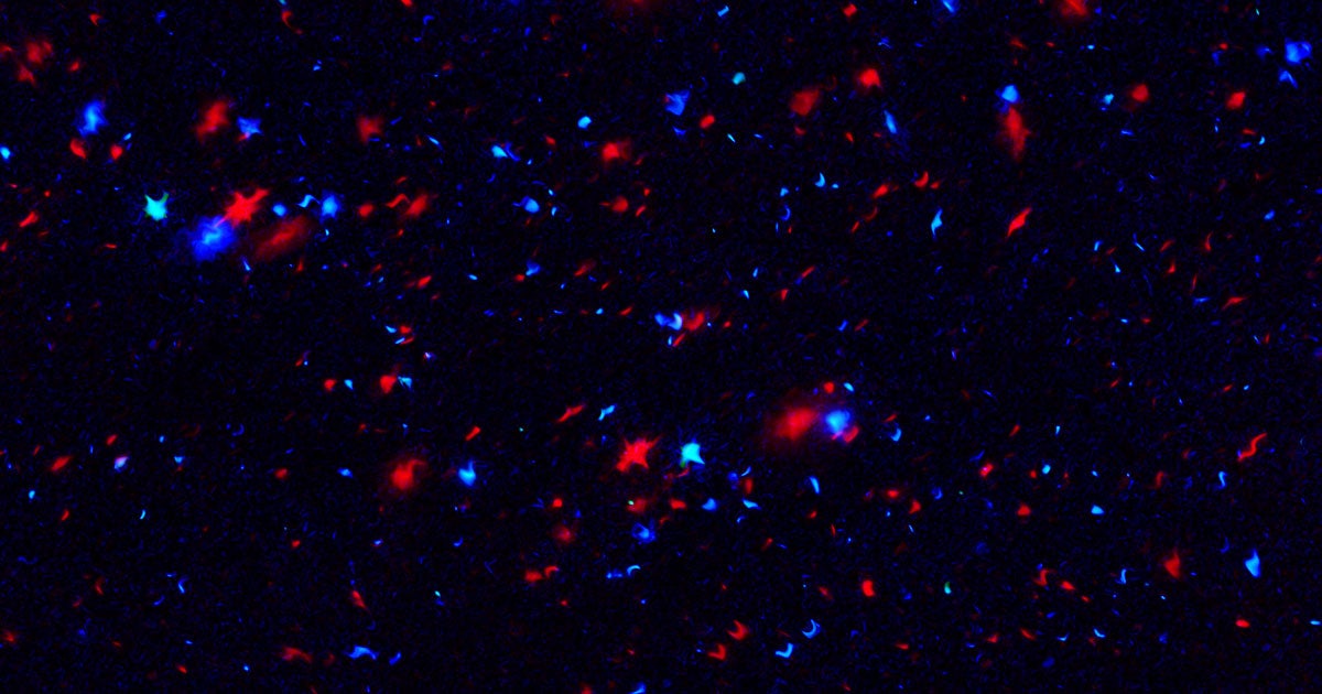 Yet another study has calculated the Hubble Constant and come to a different conclusion, raising more questions about the nature of our universe.