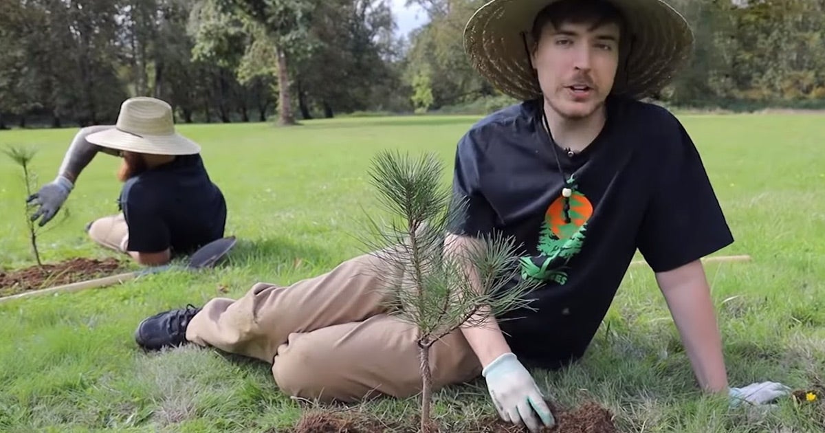 Team Trees, a tree-planting campaign backed by Tesla CEO Elon Musk, has officially met its fundraising goal of $20 million.