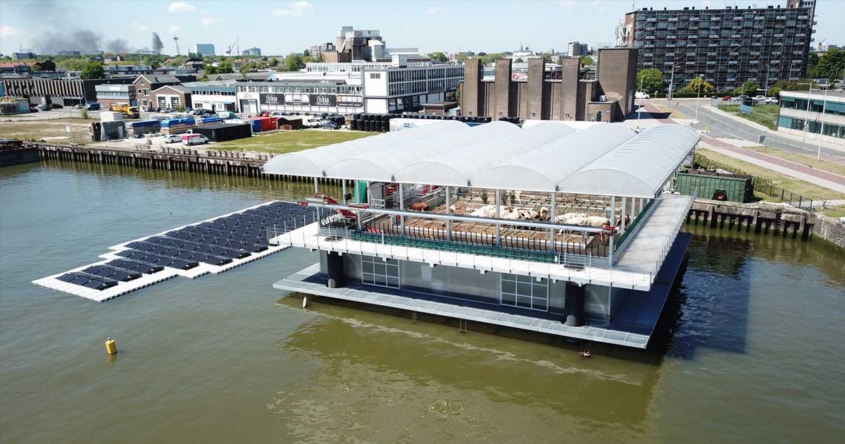 For the last six months, a highly-automated dairy farm has been floating off the coast of the Netherlands, providing city slickers with fresh milk.