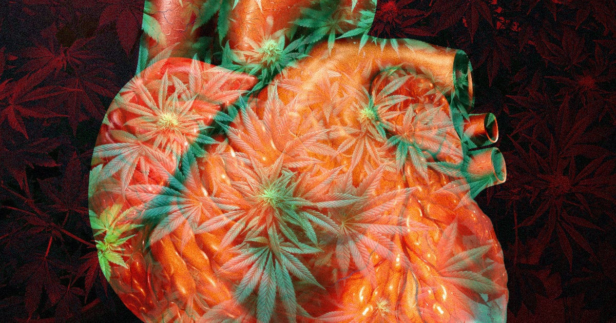 Marijuana can literally change a user's heart, enlarging its left ventricle and impairing function, according to a new study.