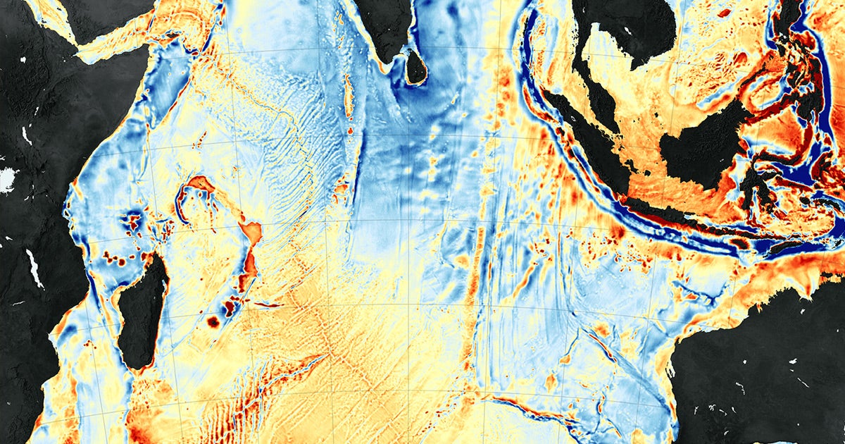 If companies are given free rein to scrape the ocean floor for precious minerals, entire undiscovered ecosystems will be snuffed out.
