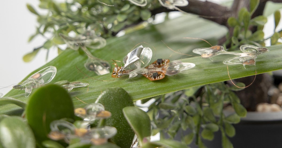 Engineers built a soft robotic bug capable of surviving harsh punishment like being flattened, stomped, and folded. It's creepy, but a huge step forward.
