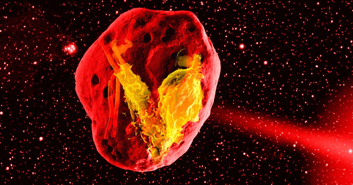 Scientists found that a single-celled organism could live off of materials from meteorites, which could help in our hunt to find alien life in space.