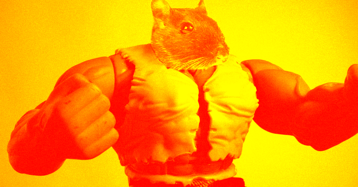 The latest space supply mission to the ISS will include “mighty mice,” rodents genetically engineered to grow larger muscles than normal.