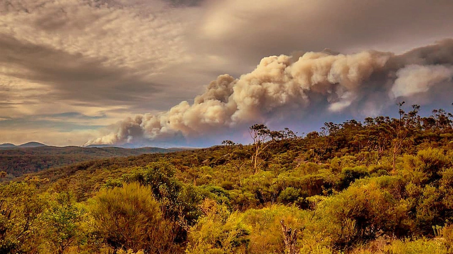 Australia's New South Wales police force has charged 24 arsonists for deliberately starting bushfires contributing to the nation's ongoing emergency.
