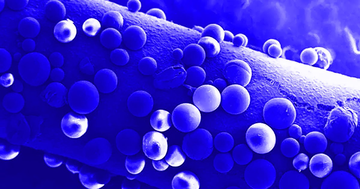 In the future, doctors could treat damaged nerves with a newly unveiled biodegradable "bridge" created by University of Pittsburgh researchers.
